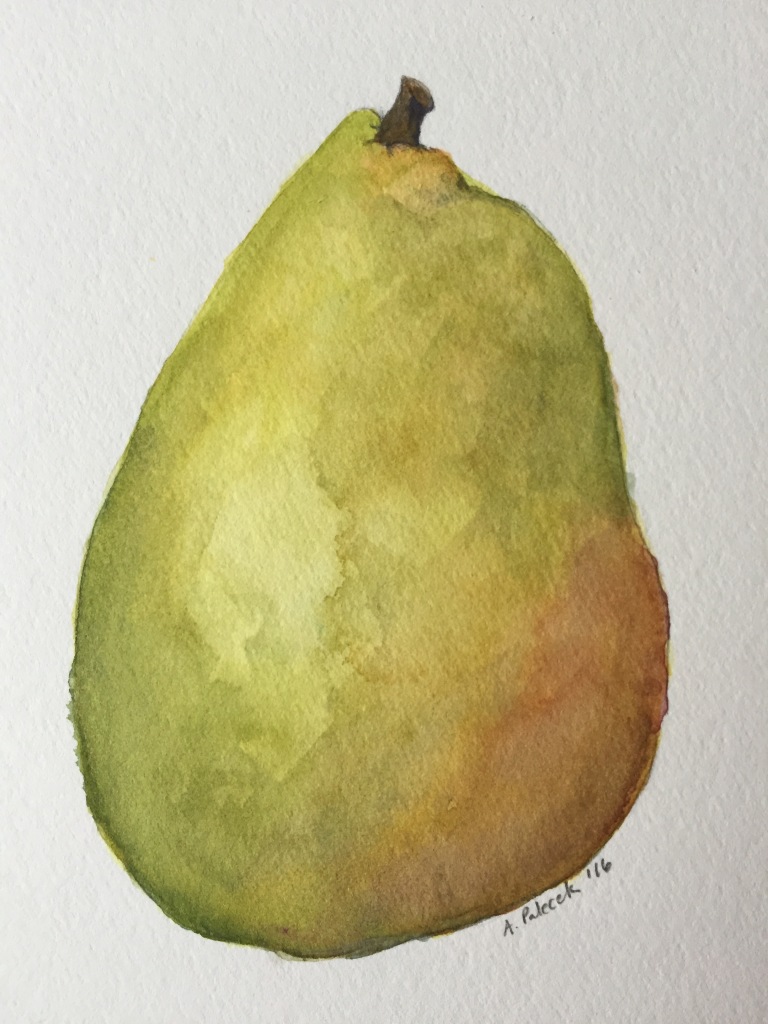 anjou-pear-2016